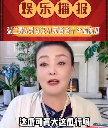 张兰爆料汪大爷视频播放,真相与争议  第2张